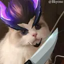 ස්ටිකර්