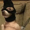 Կպչուն պիտակ