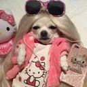 Կպչուն պիտակ