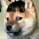 Կպչուն պիտակ