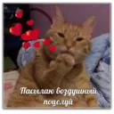 ស្ទីកเกอร์