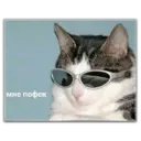 ស្ទីកเกอร์