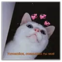 ស្ទីកเกอร์