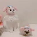 ස්ටිකර්