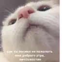 ස්ටිකර්