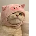 ස්ටිකර්