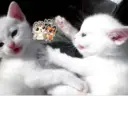 ස්ටිකර්