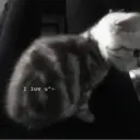 ස්ටිකර්