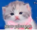 ස්ටිකර්