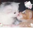 ස්ටිකර්