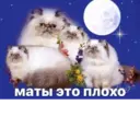 స్టికర్