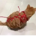 স্টিকার