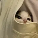 স্টিকার