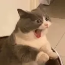 স্টিকার