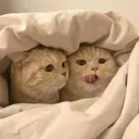 স্টিকার