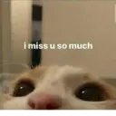 স্টিকার