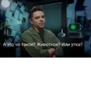 ஸ்டிக்கர்