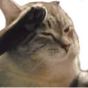 Կպչուն պիտակ