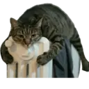 ស្ទីកเกอร์