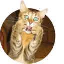 ស្ទីកเกอร์