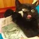 ស្ទីកเกอร์