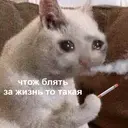 Կպչուն պիտակ