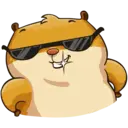 Կպչուն պիտակ