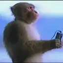 Կպչուն պիտակ