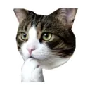 ស្ទីកเกอร์