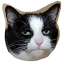 ស្ទីកเกอร์