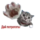 ស្ទីកเกอร์