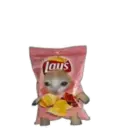 স্টিকার