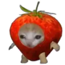 স্টিকার