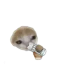 স্টিকার