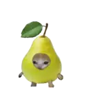 স্টিকার