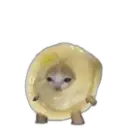 স্টিকার