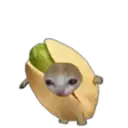 স্টিকার