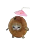 স্টিকার