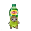 স্টিকার