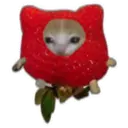 স্টিকার