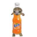 স্টিকার