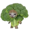 স্টিকার