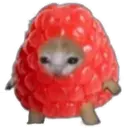 স্টিকার