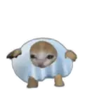 স্টিকার