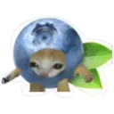 স্টিকার