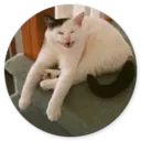 ស្ទីកเกอร์