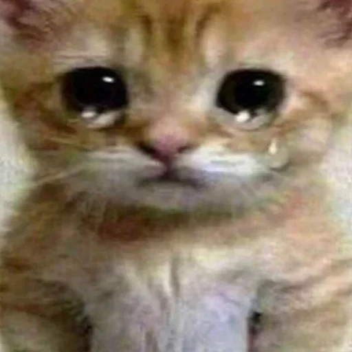 স্টিকার