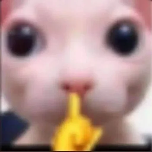 স্টিকার