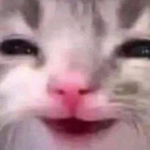 স্টিকার