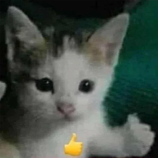 স্টিকার